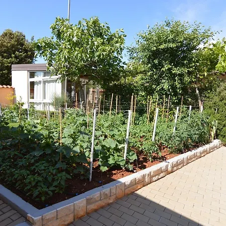 Dekovic Materada 招待所 波雷奇